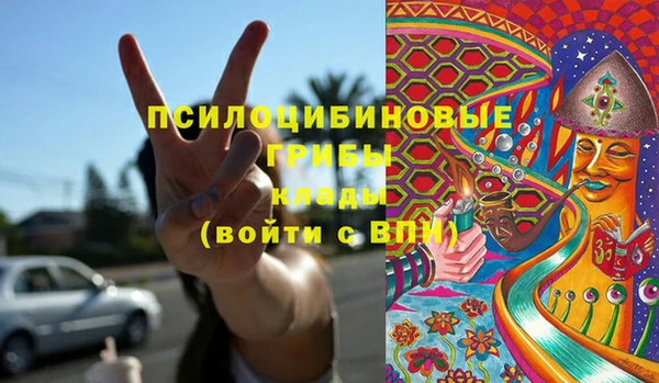 PSILOCYBIN Медвежьегорск
