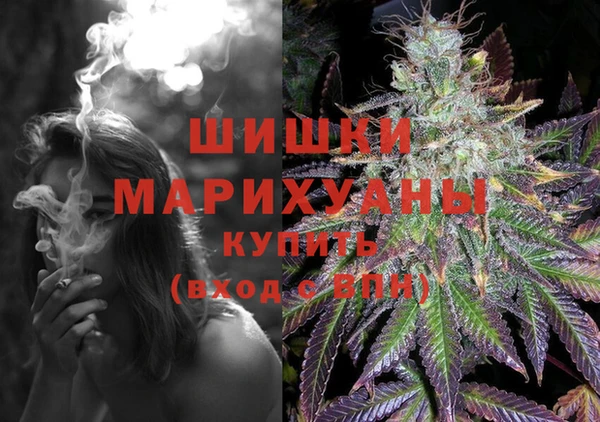 PSILOCYBIN Медвежьегорск