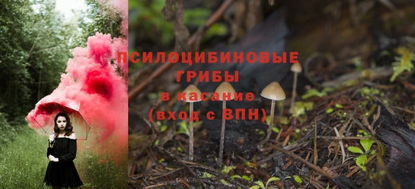 PSILOCYBIN Медвежьегорск