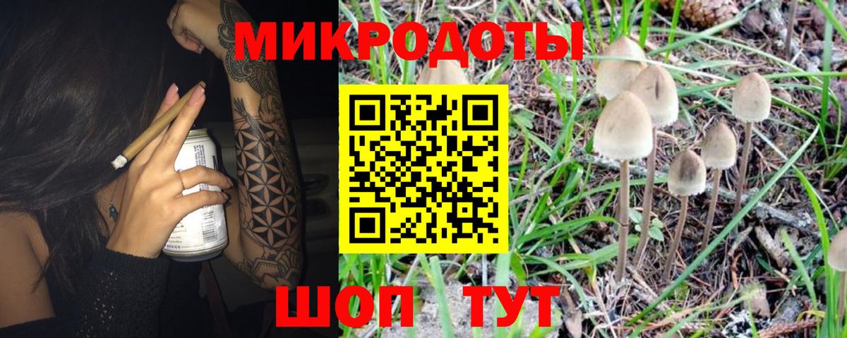 Псилоцибиновые грибы мицелий Оренбург