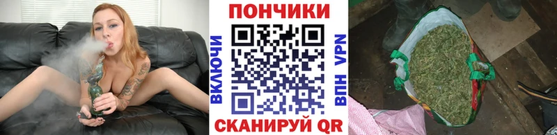 Марихуана сатива  Оренбург 
